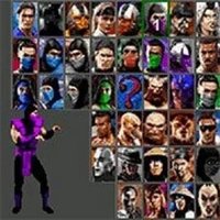 Ultimate Combat Revelations Fighting Game