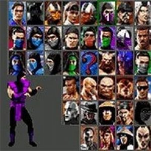 Ultimate Combat Revelations Fighting Game