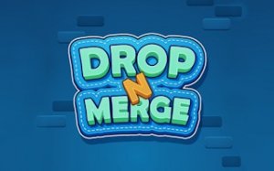 Number Merge Puzzle Drop