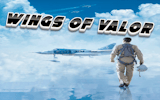 Wings of Valor: Aerial Adventure Game