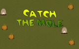 Tap the Critter: Arcade Reflex Game