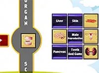 Human Organ Scanner Puzzle Game