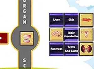 Human Organ Scanner Puzzle Game