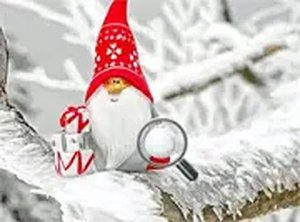 Snowy Scene Seek: Find the Orbs