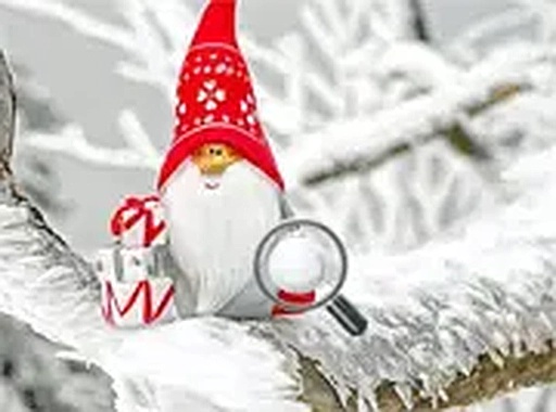 Snowy Scene Seek: Find the Orbs