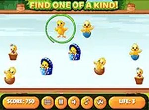Find Unique Chick Puzzle Game
