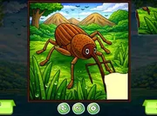 Torn Image Rebuilder Puzzle